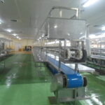 สายพานตัดแต่งเนื้อปลา หรือสายพานขูด