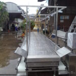 สายพานผ่าท้องปลา