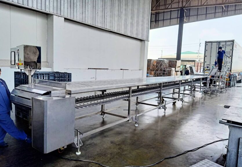 GT_สายพานคัดไซส์ และฮอปเปอร์